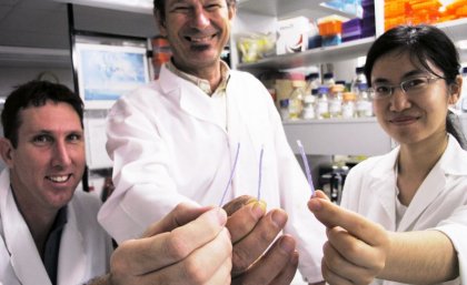 Holding the dipstick technology (from left) Dr Michael Mason, Professor Jimmy Botella and Yiping Zhou